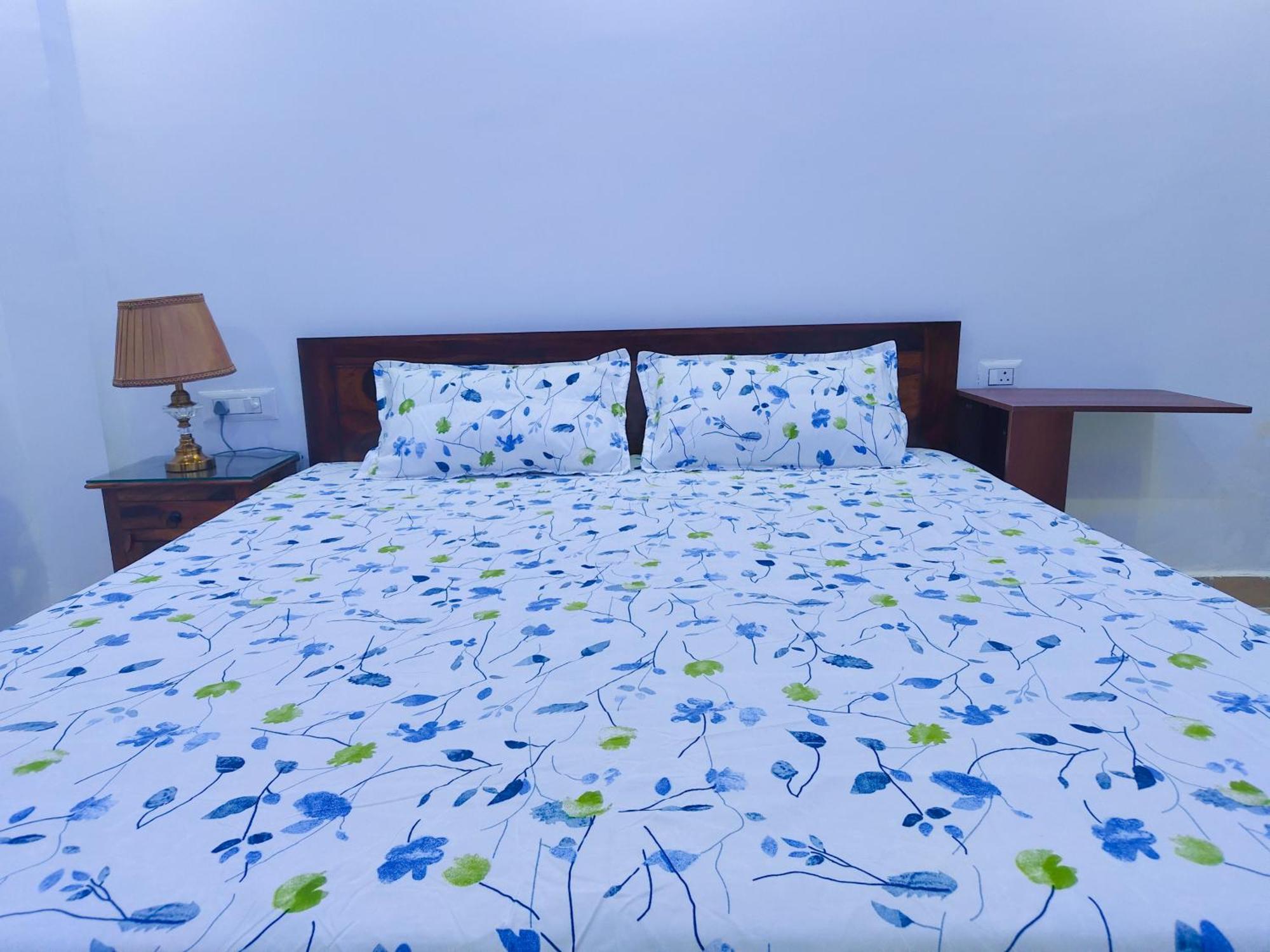 Divisha Homes-1bhk Luxury In South Delhi * New Delhi